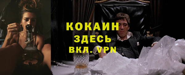 кокс Алексеевка
